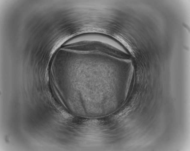 X0000096440885200802071746