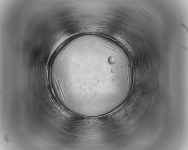 X0000096440886200802071746