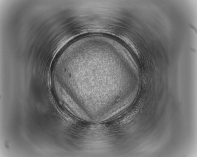 X0000096440887200802071745