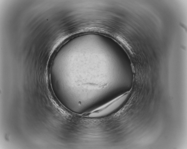 X0000096440888200802071745