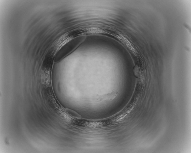 X0000096440889200802071745