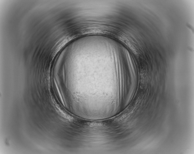 X0000096440890200802071745