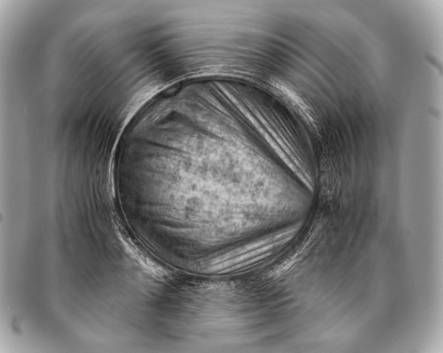 X0000096440892200802071745