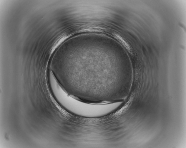 X0000096440893200802071745