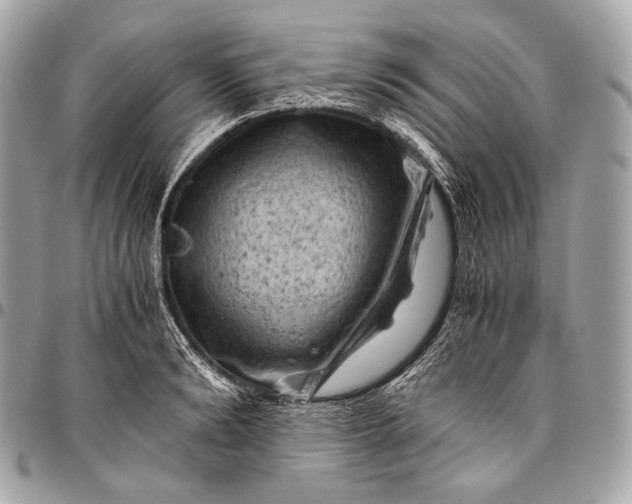 X0000096440894200802071745