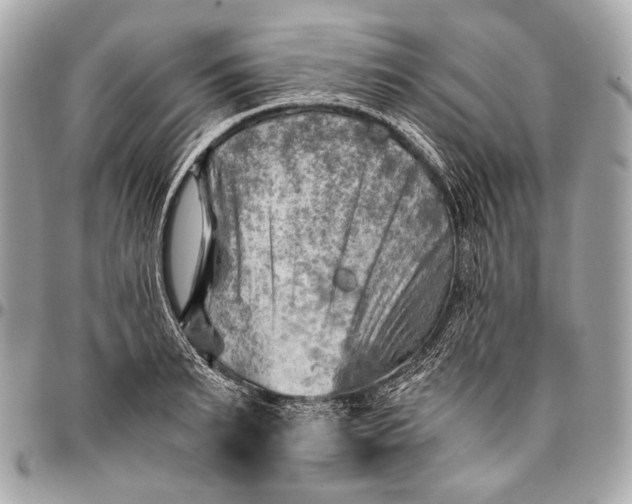 X0000096440895200802071745