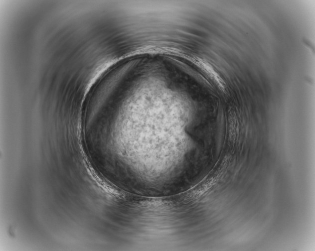 X0000096440896200802071745