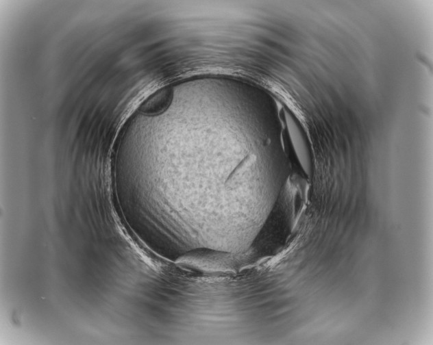 X0000096440898200802071745