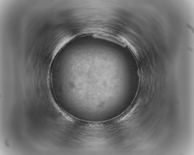 X0000096440901200802071745