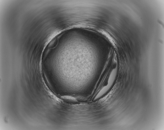 X0000096440902200802071745