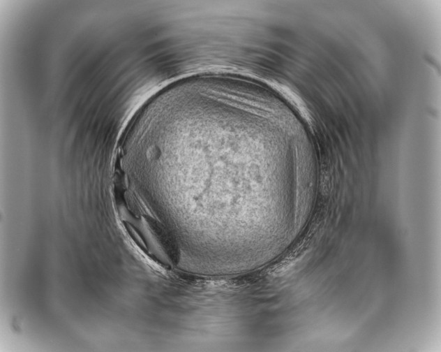 X0000096440903200802071745