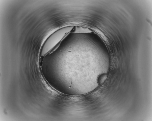 X0000096440904200802071745