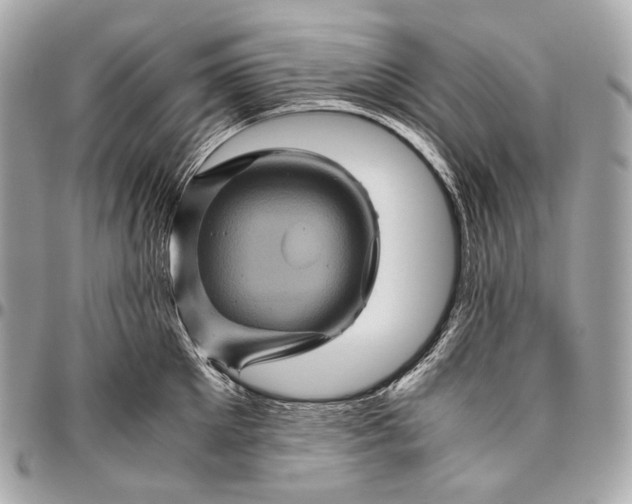 X0000096440905200802071745