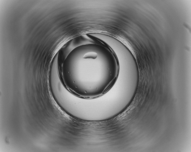 X0000096440906200802071745