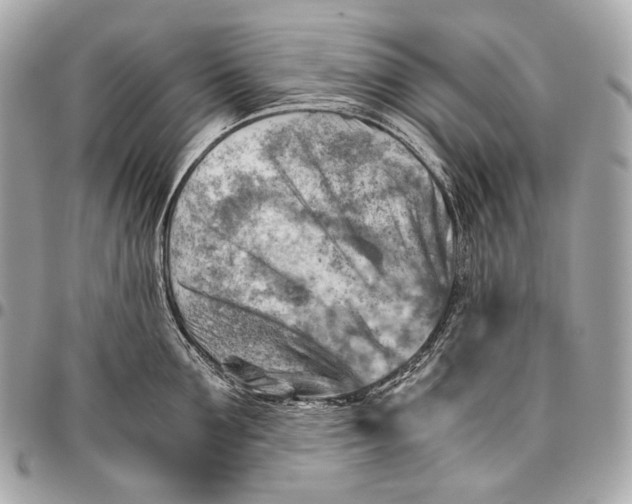 X0000096440907200802071745