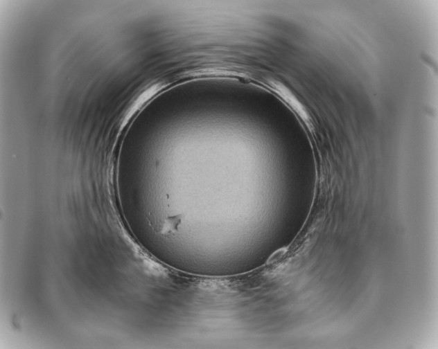 X0000096440909200802071745