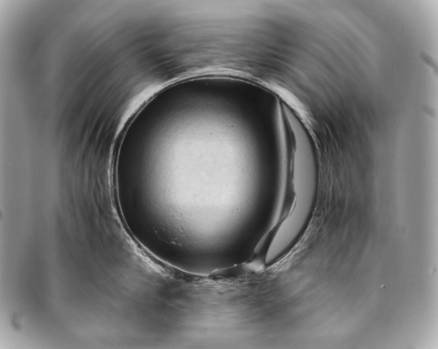 X0000096440910200802071745