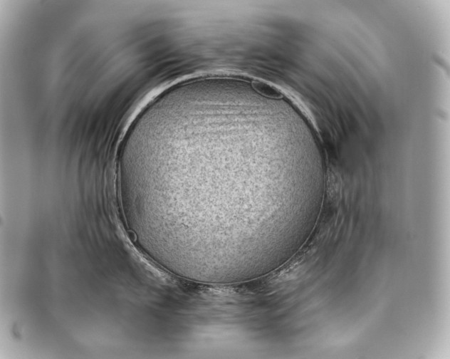 X0000096440911200802071745