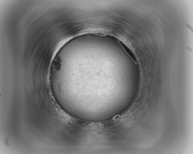 X0000096440912200802071745