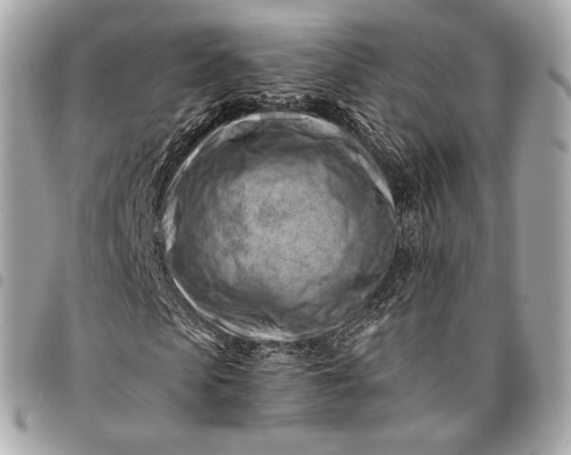 X0000096440913200802071744