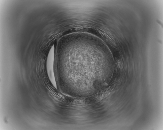 X0000096440914200802071745