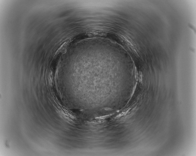 X0000096440915200802071745