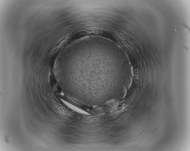 X0000096440916200802071745