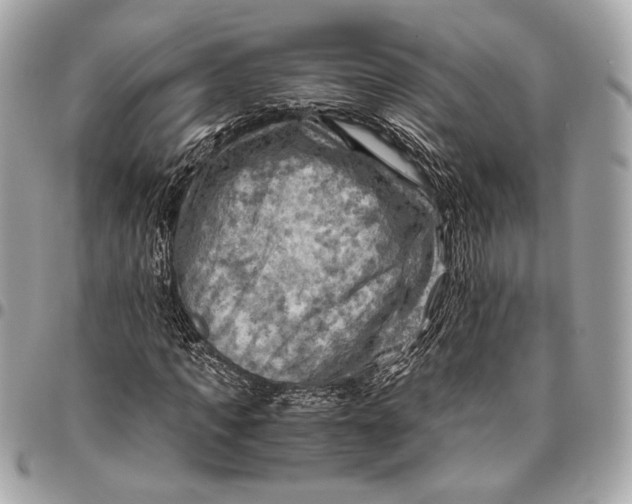 X0000096440917200802071745