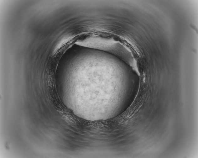 X0000096440919200802071745