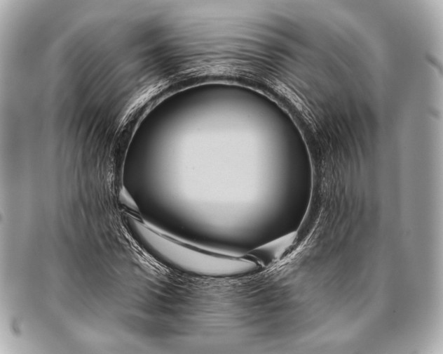 X0000096440922200802071745