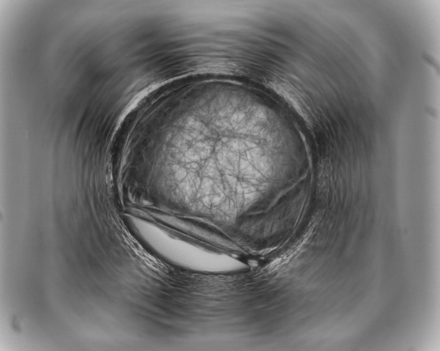 X0000096440923200802071745