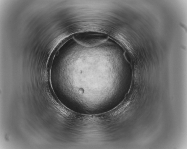 X0000096440924200802071745