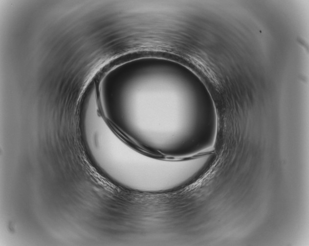 X0000096440926200802071745