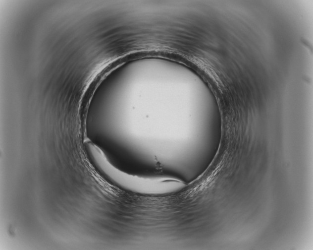 X0000096440927200802071745