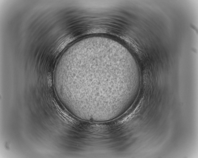 X0000096440929200802071745