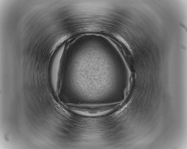 X0000096440930200802071745