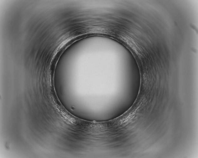 X0000096440931200802071745