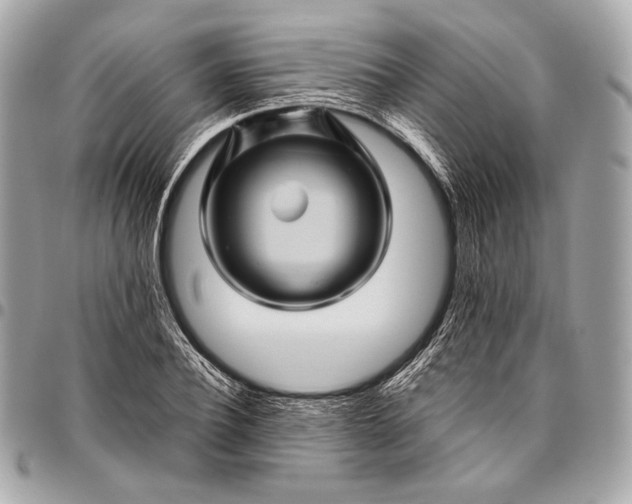 X0000096440932200802071745