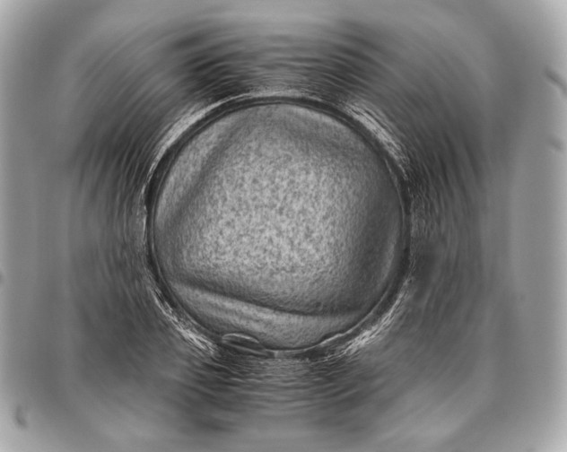 X0000096440933200802071745