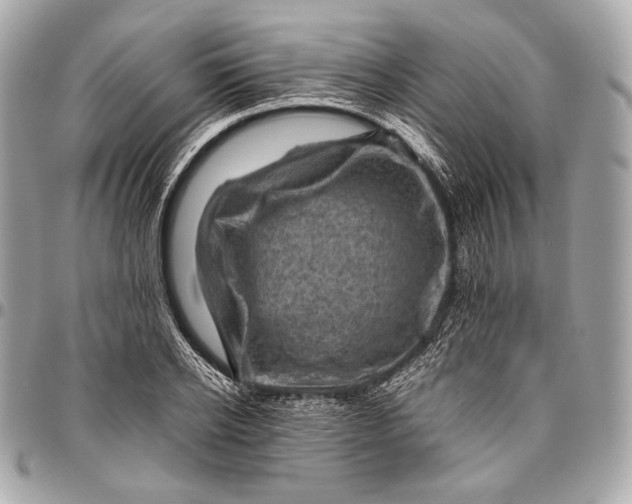 X0000096440934200802071745