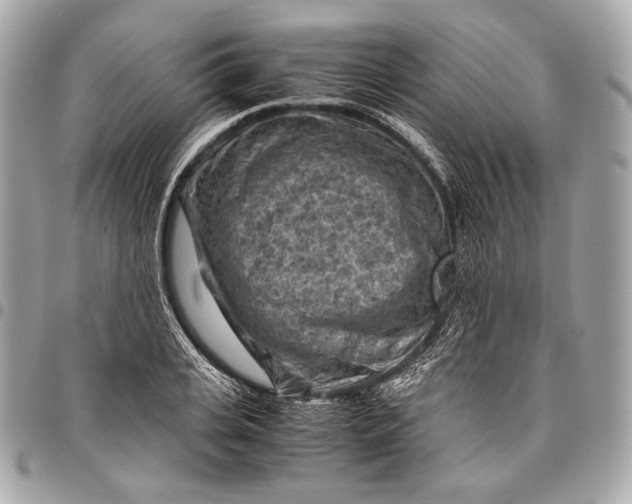 X0000096440935200802071745