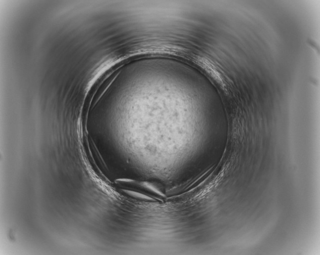 X0000096440936200802071745