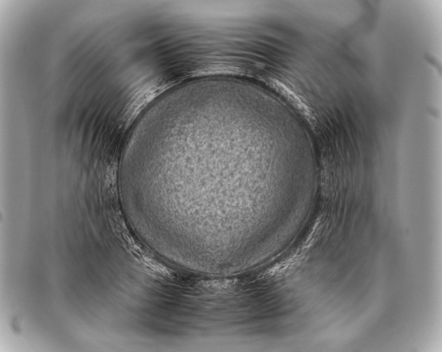 X0000096440937200802071745