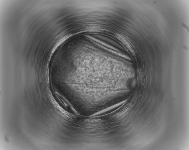 X0000096440939200802071745