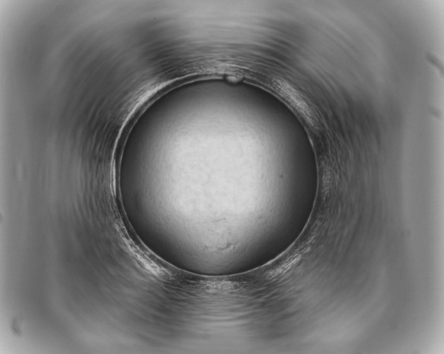 X0000096440940200802071745