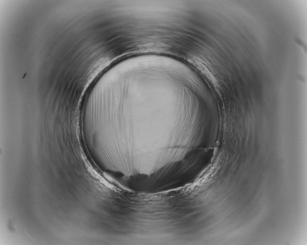 X0000096440941200802071745