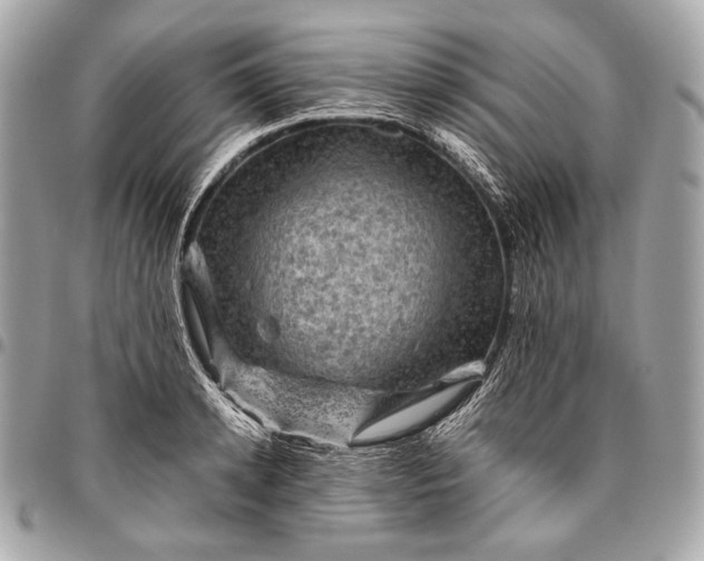 X0000096440942200802071745