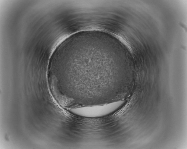 X0000096440943200802071745