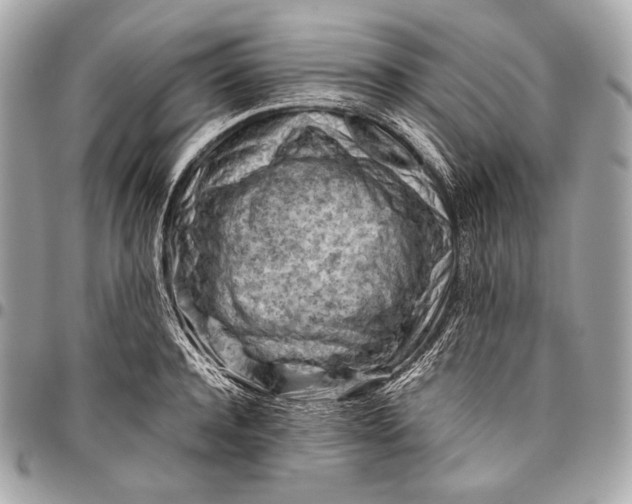 X0000096440944200802071745