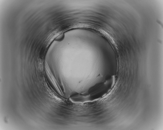 X0000096440945200802071745